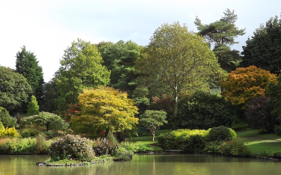 Autumn Colours