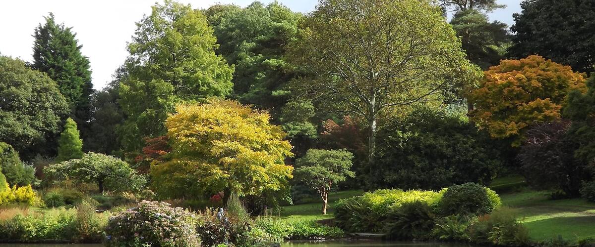 A serene garden with a pond, various trees, and well-maintained bushes.