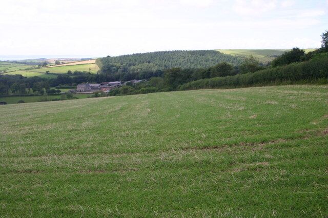 Looking from Whitefield hill to Whitefield Barton Looking from Whitefield hill to Whitefield Barton
