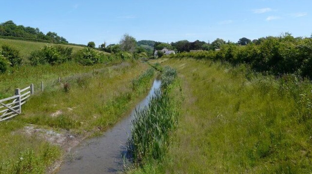 Bradiford water, between Bradiford and Pottington