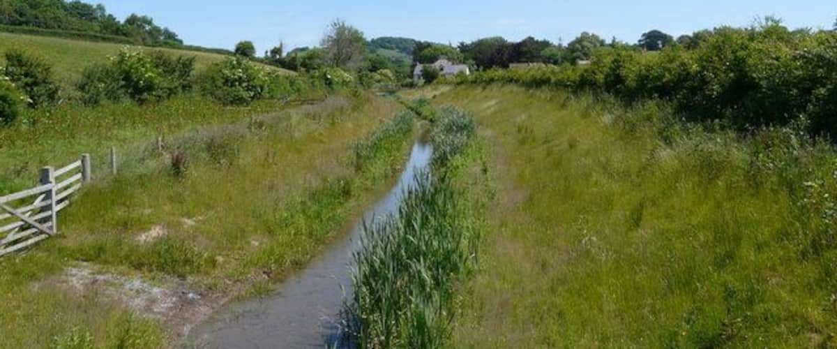 A narrow water channel flanked by lush greenery and a wooden fence.