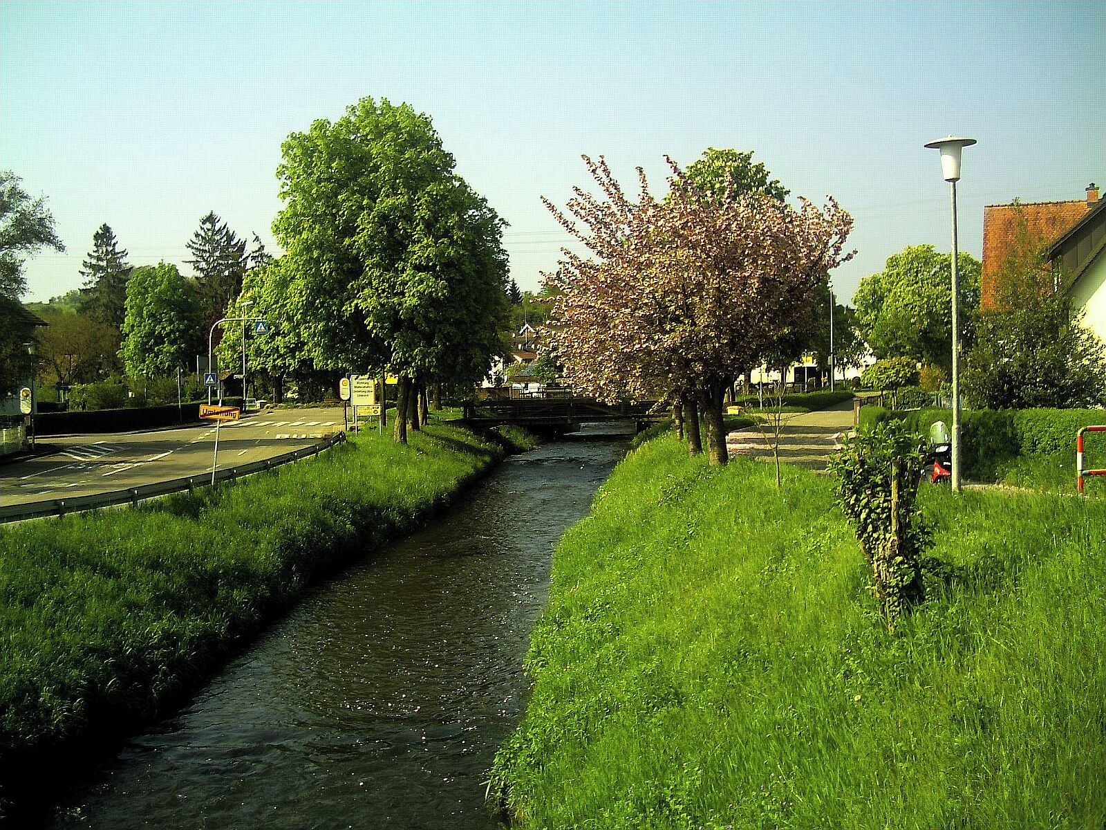 May Gottenheim Spring - Master Habitat Rhine Valley Photography 2013