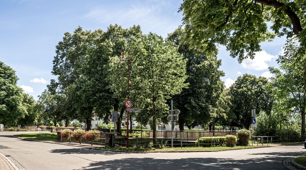 Bilder aus Gottenheim