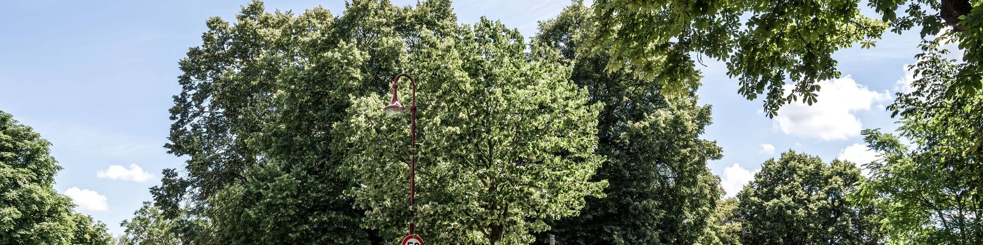 Bilder aus Gottenheim