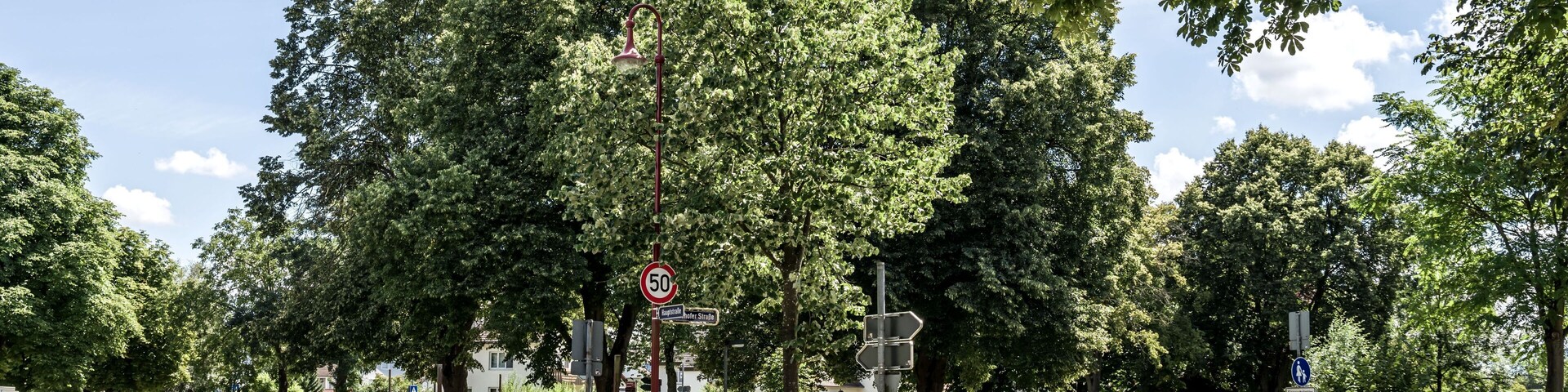 Bilder aus Gottenheim