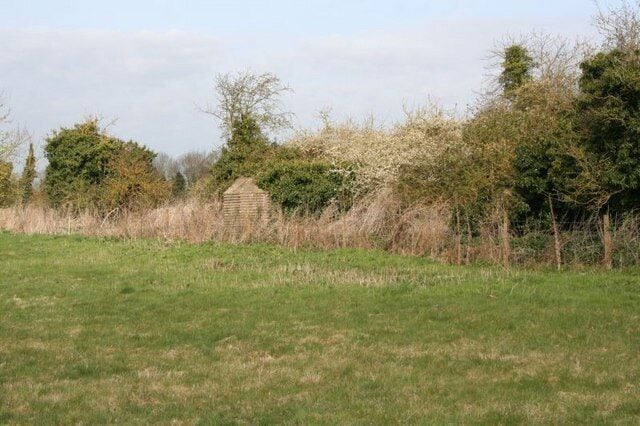 Poking out the undergrowth Going round the allotment side you can make out part of the pillbox which is hidden there.