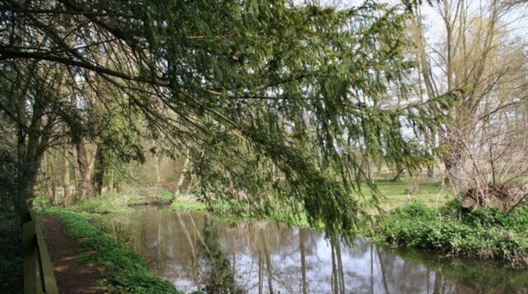 Brook by the pillbox West of Marcham.