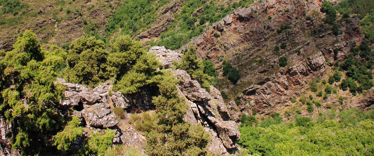 A rugged mountainous landscape with dense green vegetation and rocky outcrops.