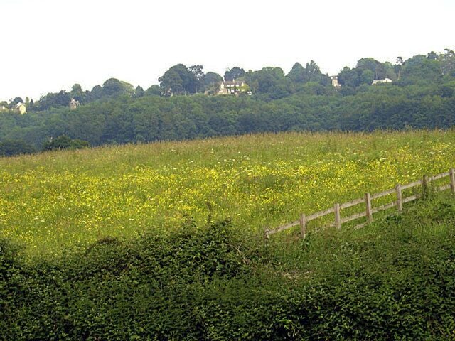 View up towards Houndscroft This is the view across the fields as seen from the cycle path next to the A46 at Woodchester.