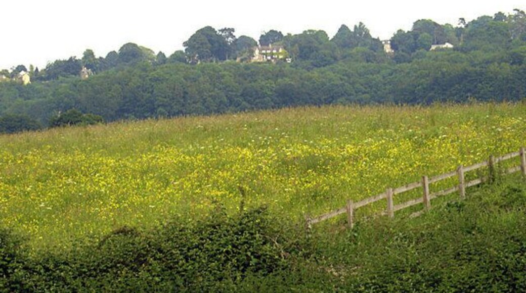 View up towards Houndscroft This is the view across the fields as seen from the cycle path next to the A46 at Woodchester.