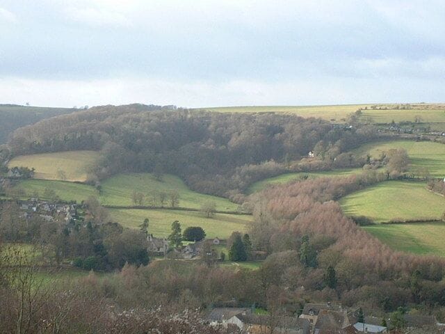 Selsley Common and Hill Looking towards Selsley Common and Selsley Hill from the western edge of Rodborough Common