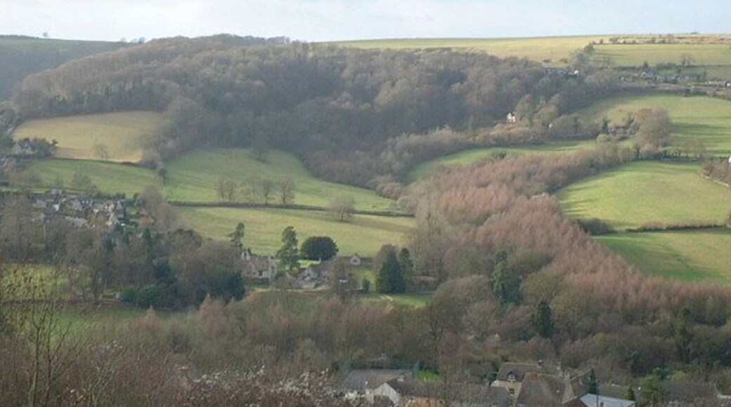 Selsley Common and Hill Looking towards Selsley Common and Selsley Hill from the western edge of Rodborough Common