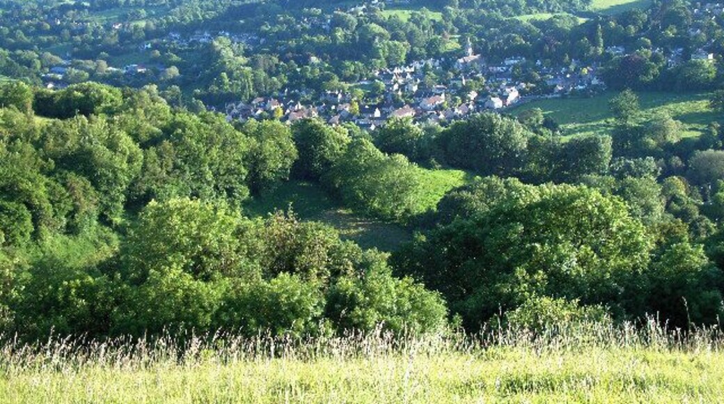 Woodchester village. Looking directly west from the edge of Minchinhampton Common. The lower large field to the right is adjacent to the famous Woodchester Orpheus mosaic, part of possibly the biggest and most opulent Roman Villa in the UK. A replica of the mosaic is on display nearby at Prinknash Abbey. Villa May have been home to the governing family of this important area, with Cirencester only 14 miles away and Bath 27 miles.