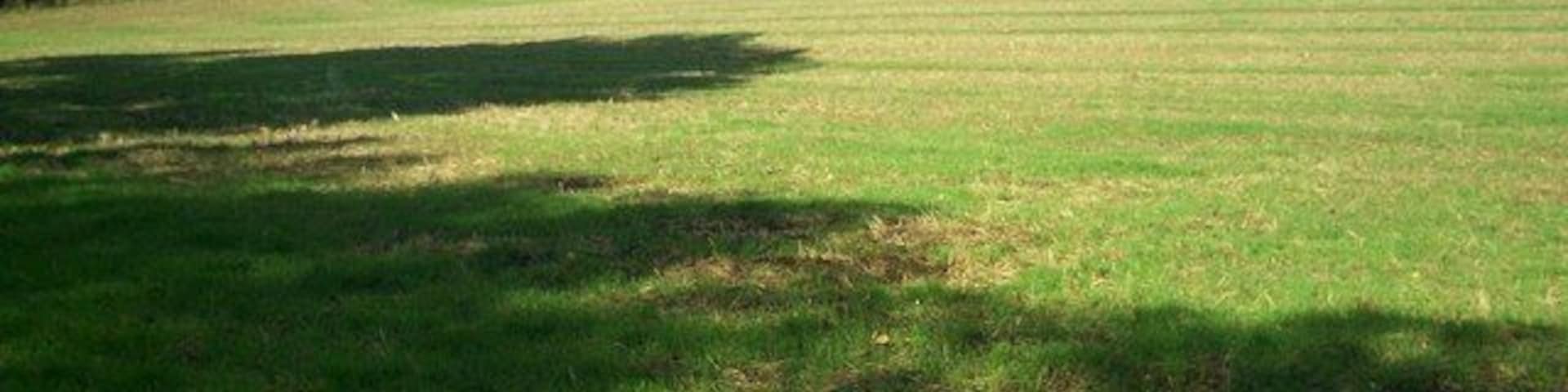 Looking North near bridge over Knee Brook. View of fields. The minor road, which goes over the bridge, is behind the hedge on the left.