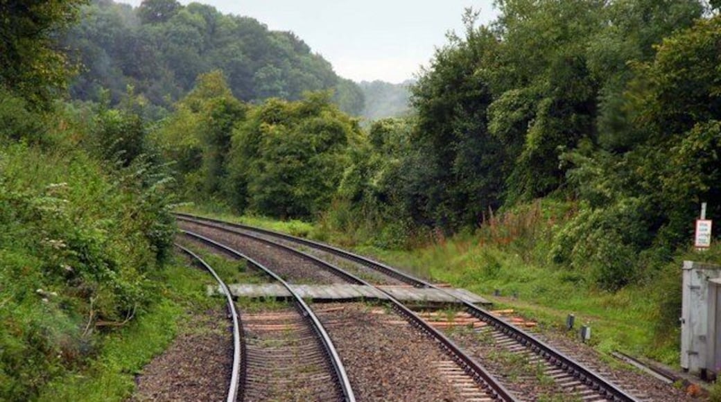 Frampton Level Crossing