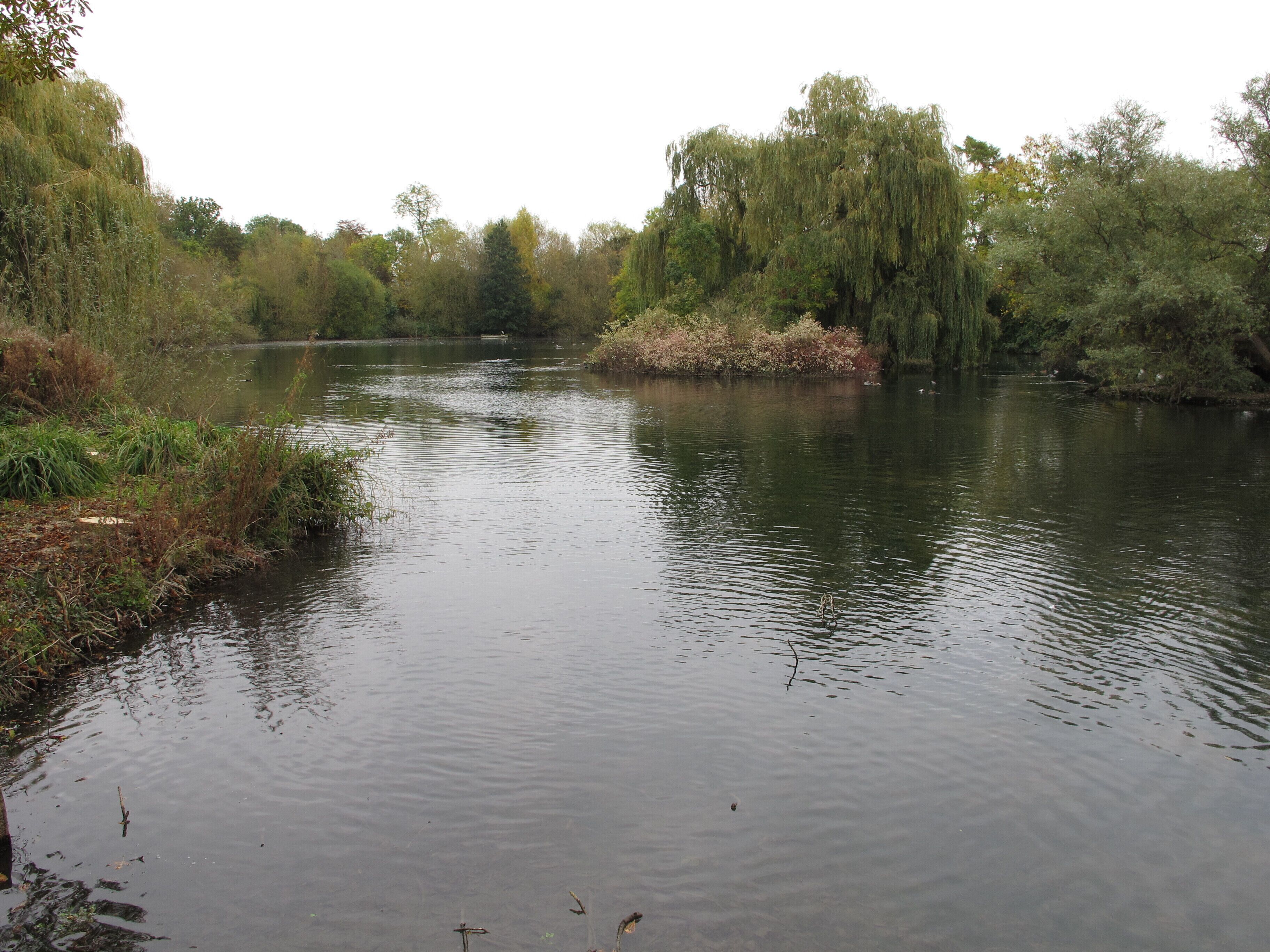 Lake by Upper Court, Kemerton.