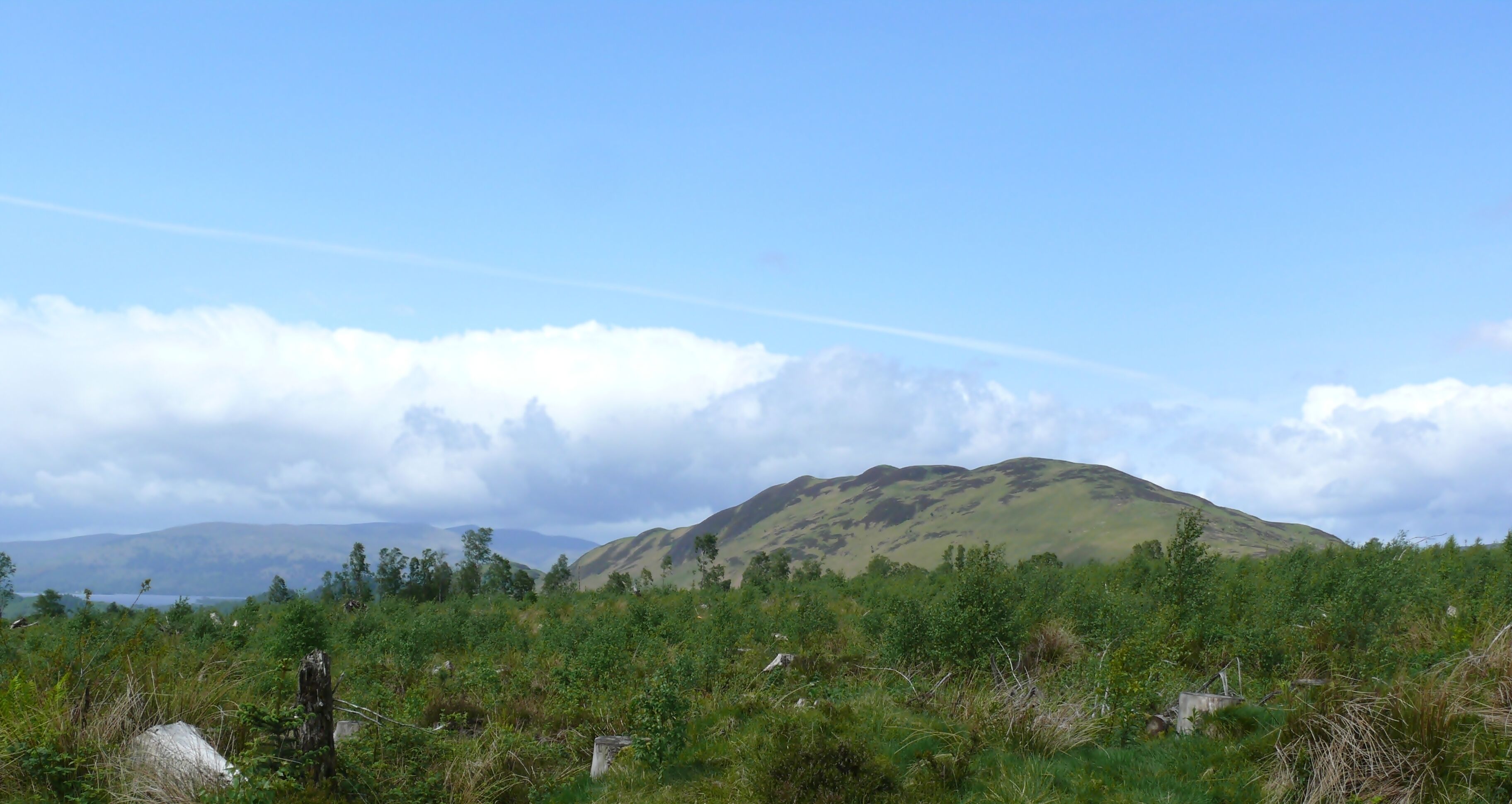 A grassy landscape with a hill and distant mountains under a clear sky.