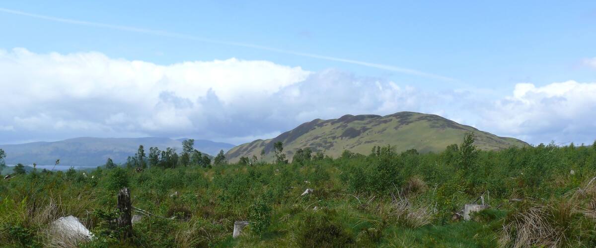 A grassy landscape with a hill and distant mountains under a clear sky.