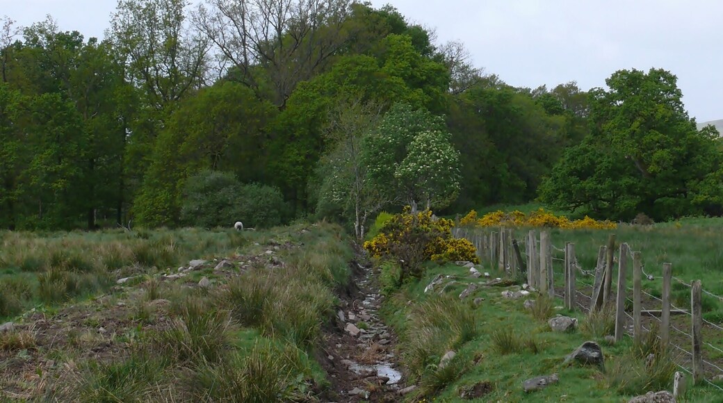 Conic Hill near Balmaha on the eastern shore of Loch Lomond, Scotland.