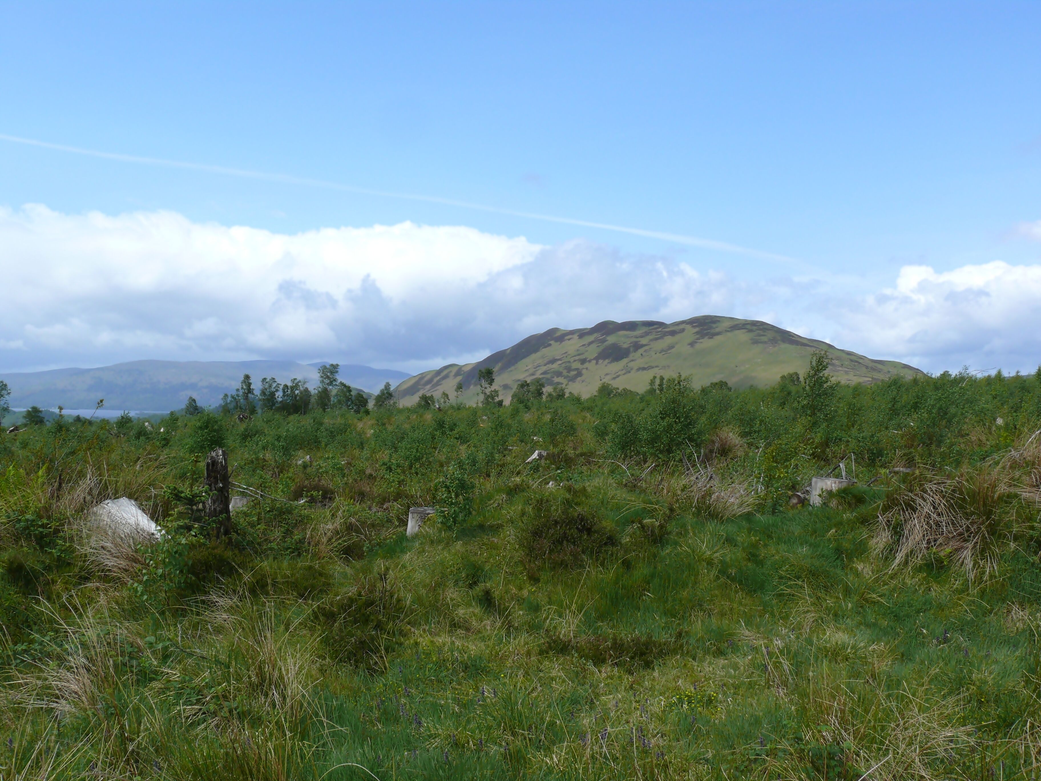 Conic Hill near Balmaha on the eastern shore of Loch Lomond, Scotland.
