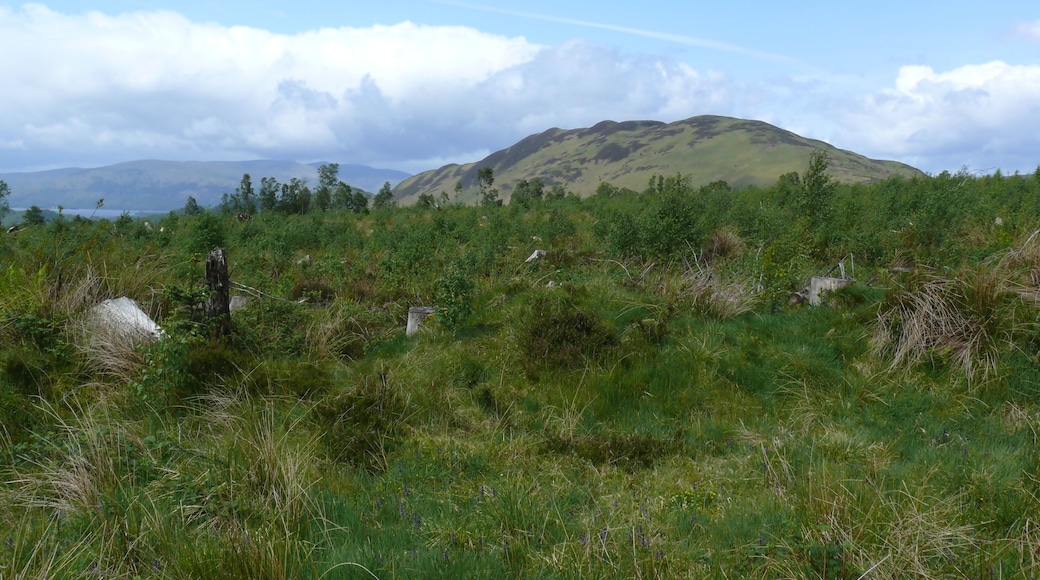 Conic Hill near Balmaha on the eastern shore of Loch Lomond, Scotland.