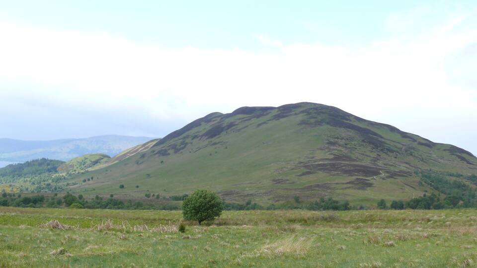 A grassy hill with a small tree in the foreground and a mountain in the background.