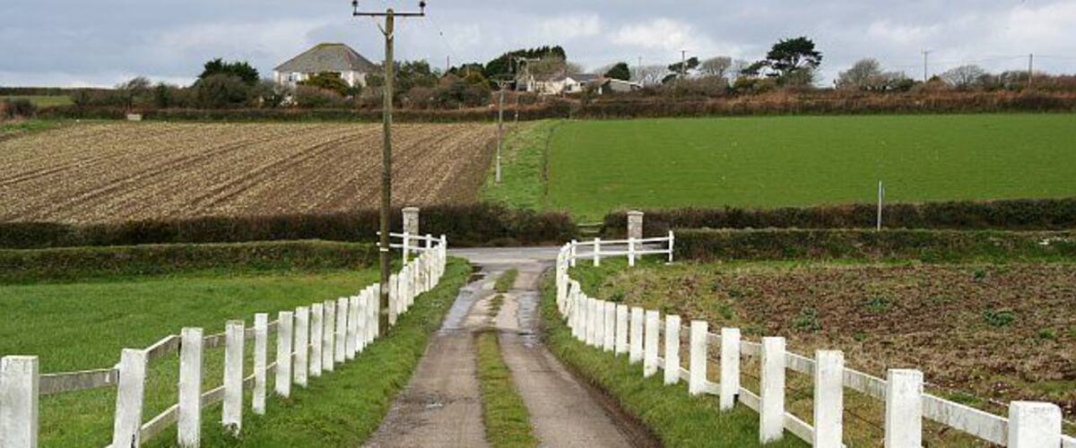 A rural road flanked by white fences, leading to a field with a farmhouse in the distance.