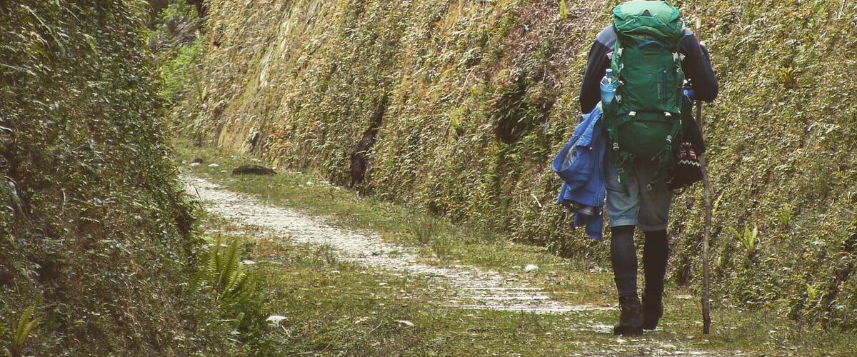 A hiker walking along a narrow, moss-covered path surrounded by dense vegetation and trees.