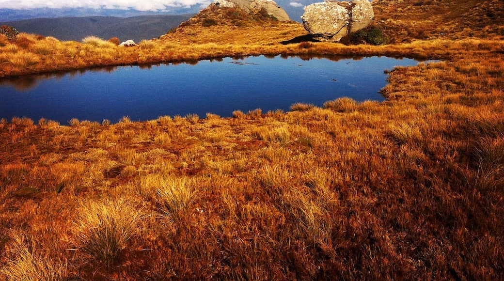 Loop Circuit at Okaka Lodge