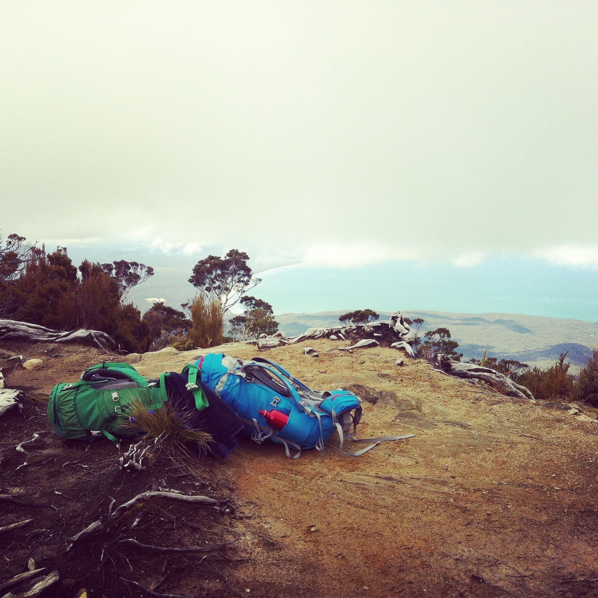 Stag Point on the first Daywalk of the Humpridge Track