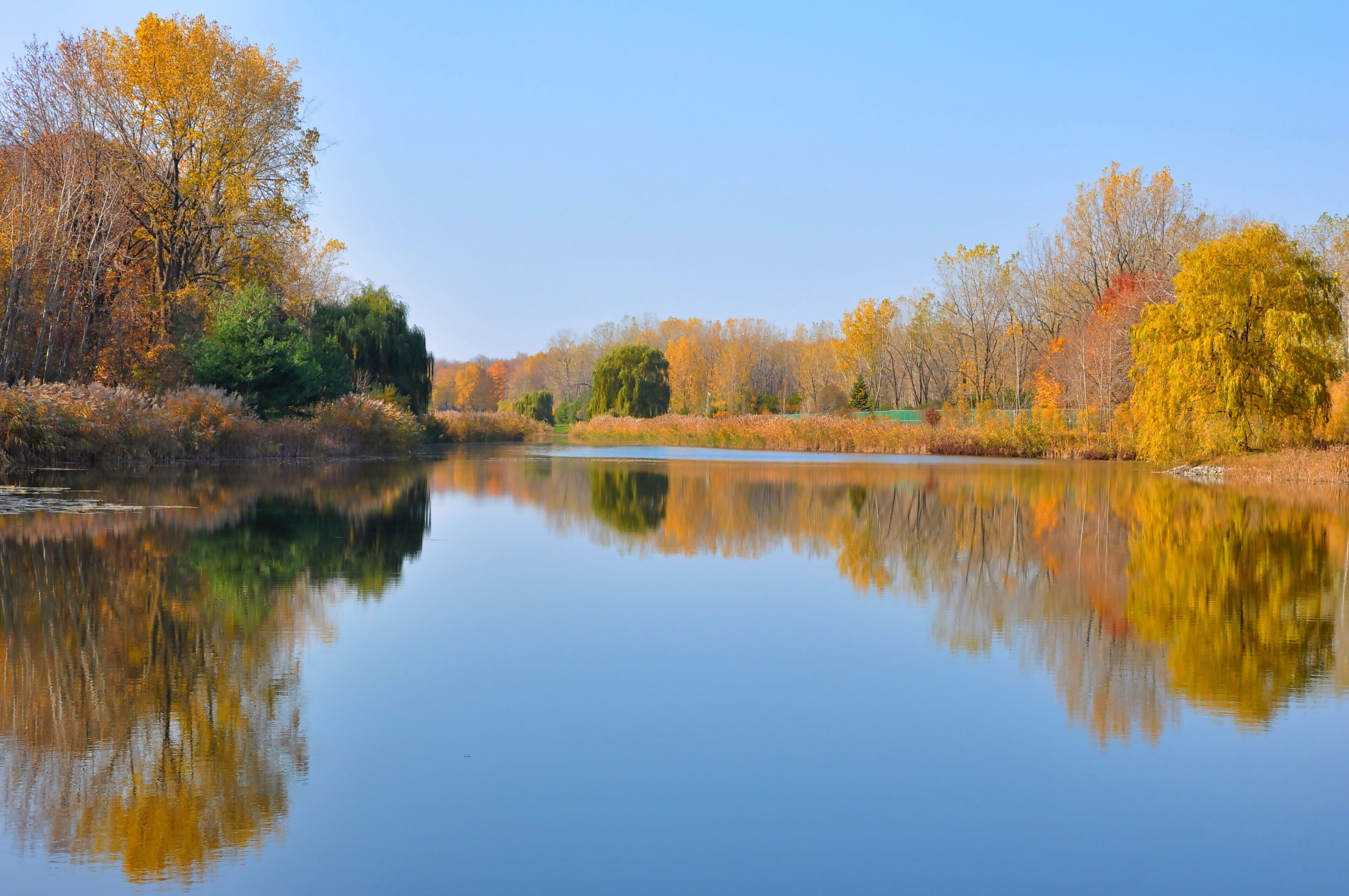 Water Reflected Autumn Colors With Blue Sky