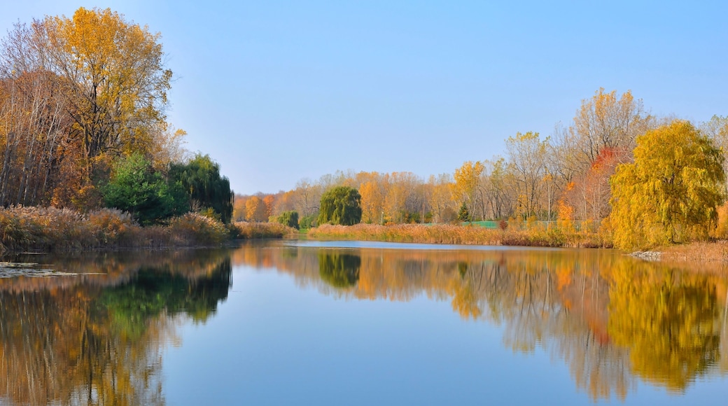 Water Reflected Autumn Colors With Blue Sky