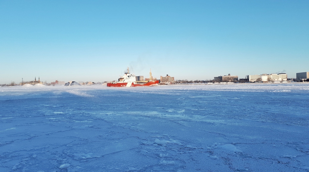 Frozen Detroit river