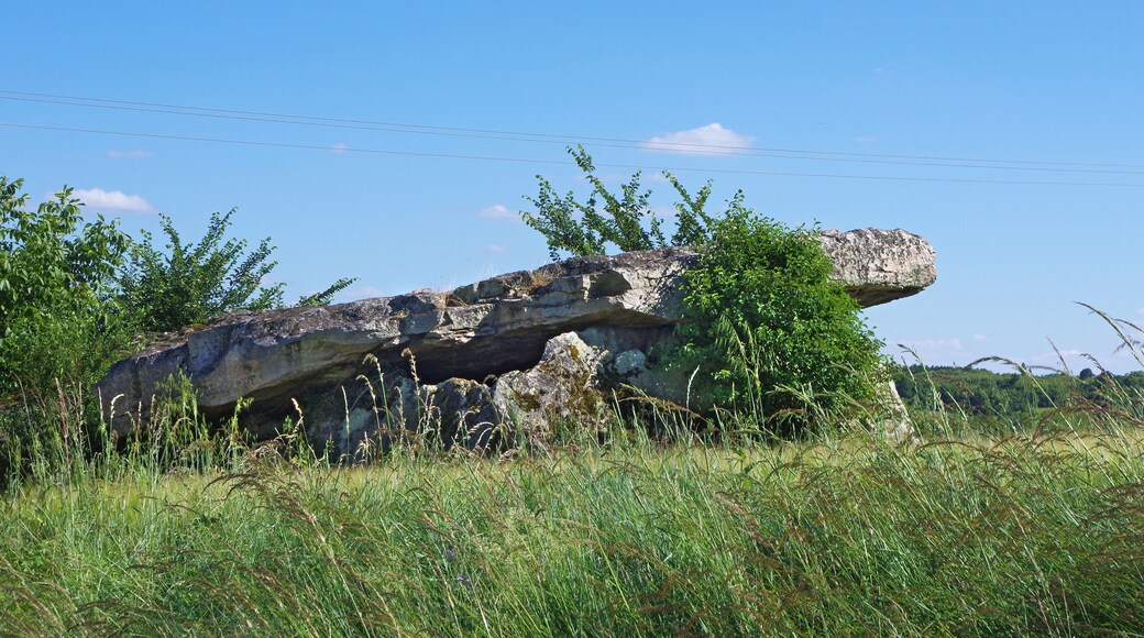Gennes (Maine-et-Loire) Dolmen de la Pagerie ou Pierre Couverte de la Pagerie. La chambre mesure 10,65 m de long et 5 m de large intĂ©rieur, prĂ©cĂ©dĂ© d'un portique. Une dalle de fond, deux supports latĂ©raux sud, un seul cĂŽtĂ© nord. Deux dalles de couverture. La dalle antĂ©rieure repose Ă terre du cĂŽtĂ© nord. De ce cĂŽtĂ©, la dalle mesure 1,20 m d'Ă©paisseur. Ce dolmen Ă portique rĂ©trĂ©ci est fait en grĂšs Ă vermiculures. D'aprĂšs un plan de M. LĂ©on de LoriĂšre, au MusĂ©e St Jean d'Angers, un lusus naturae* simule une tĂȘte de bovidĂ© sur laquelle un oeil aurait Ă©tĂ© rapportĂ©. FouillĂ© en 1897, par MM d'Achon et de Farcy, un squelette avait Ă©tĂ© dĂ©couvert, placĂ© Ă 6 m du fond, les pieds vers l'entrĂ©e. Plus rĂ©cemment, ce sont des dĂ©bris de brique romaine et des Ă©clats de silex blond qui ont Ă©tĂ© trouvĂ©s par Michel Gruet (1912-1998). Il y a un siĂšcle se voyaient encore Ă l'arriĂšre les restes du tumulus, totalement disparus depuis, Ă cause des travaux agricoles. lusus naturae : "caprice de la nature". Gennes Maine-et-Loire France Gennes (Maine-et-Loire) Dolmen de la Pierre-Couverte or Pagerie. The room is 10.65 m long and 5 m wide inside, preceded by a portico. A slab of bottom, two lateral supports south side, one north side. Two cover slabs. The anterior slab rests on the ground on the north side. On this side, the slab measuring 1.20 m thick. This dolmen has shrunk portico is made of sandstone has vermiculations. According to a plan Mr. Leon LoriĂšre at St Jean d'Angers Museum, lusus naturae* simulates a bovine head on which an eye wasn reported. Excavation in 1897 by MM Achon and Farcy, a skeleton had been discovered, placed at 6 m from the bottom, feet toward the entrance. More recently, they are debris of Roman brick and flint flakes blond who have been found by Michel Gruet (1912-1998). There is a century saw still in the back of the tumulus remains totally disappeared since, due to agricultural work. lusus naturae "freak of nature".