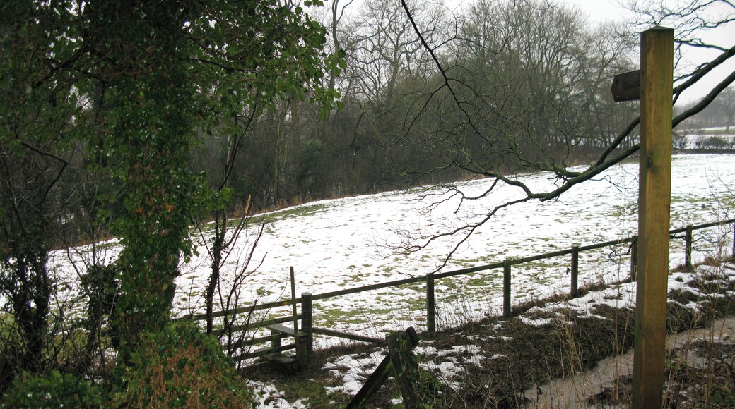Footpath to Furnace Hill From Westwood Lane towards Furnace Lane.