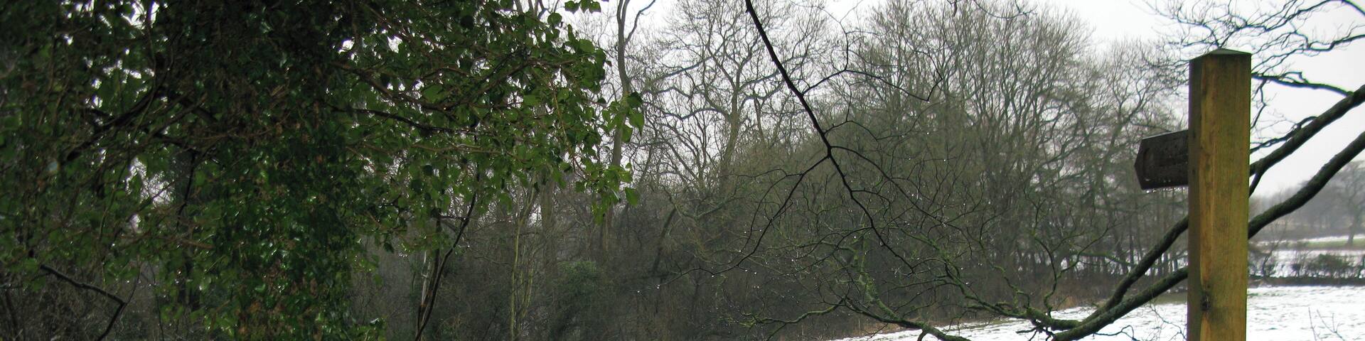 Footpath to Furnace Hill From Westwood Lane towards Furnace Lane.