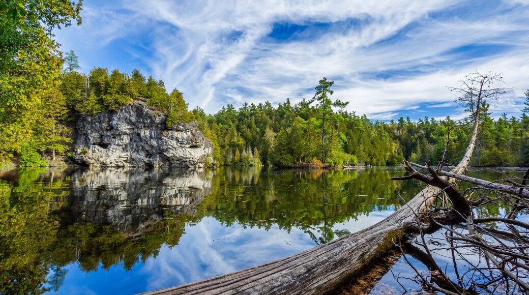 A calm lake with a rocky cliff and dense forest.