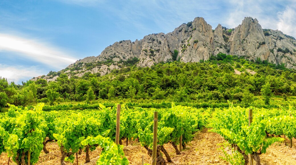 Saint-Marcellin-lès-Vaison