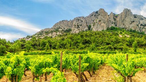 Saint-Marcellin-lès-Vaison