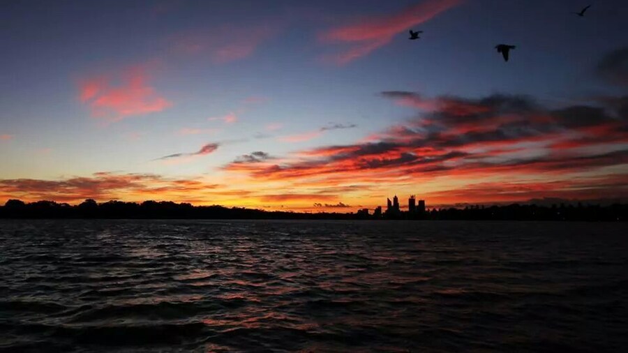 Lake Monger is always a good place for a walk or a picnic, especially to watch the #sunrise