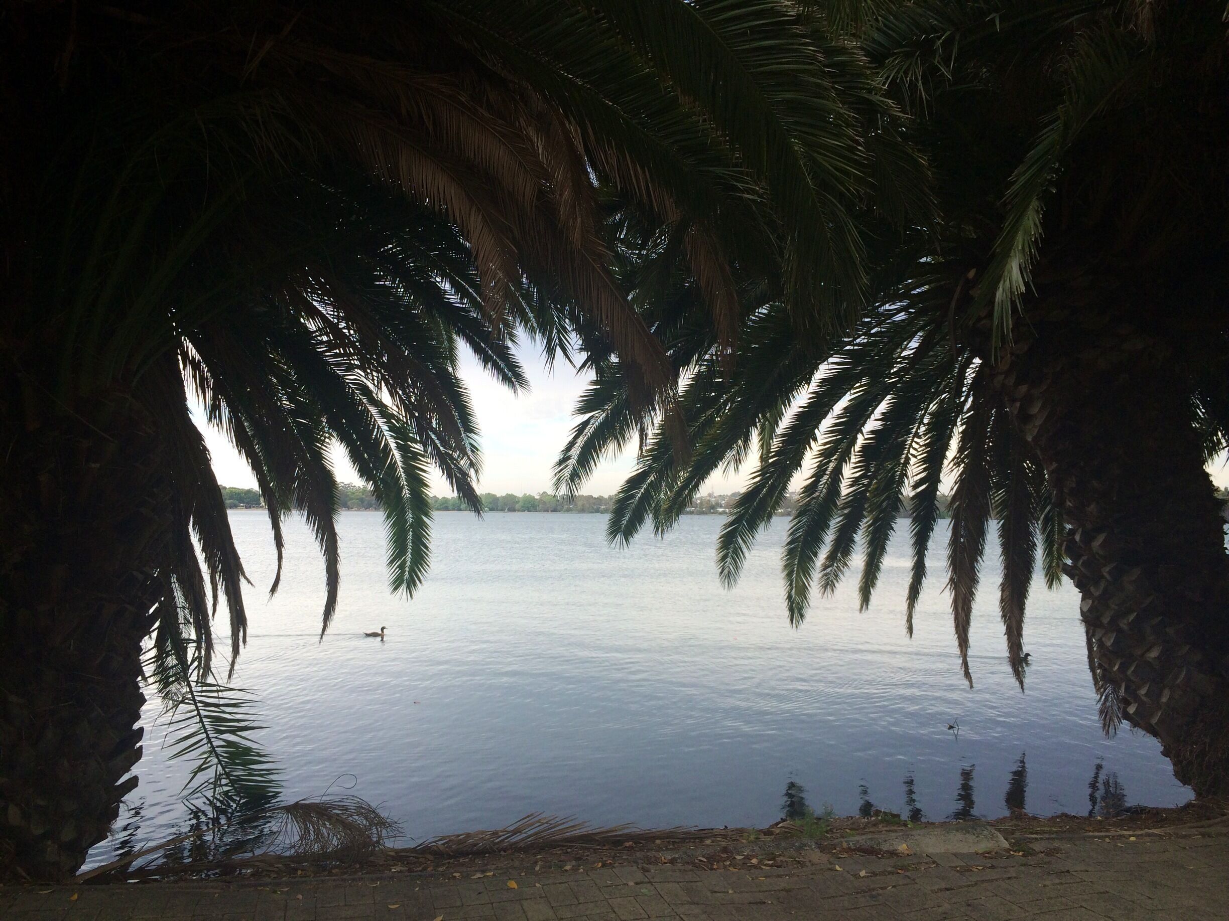 Big enough to walk, run with a great view and nice people.