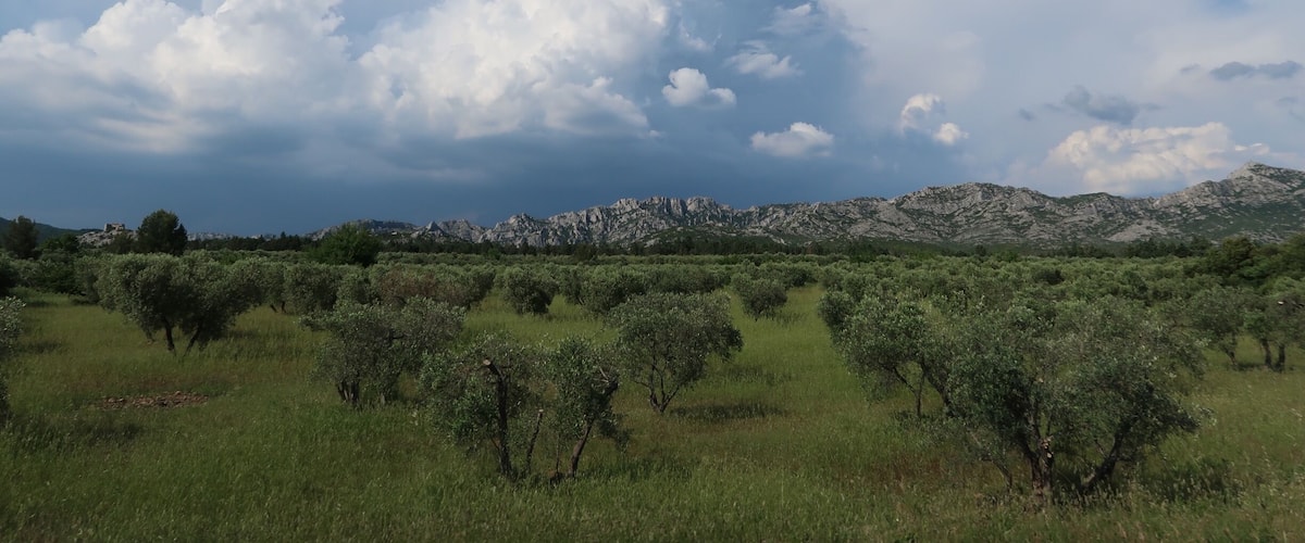 A landscape with a mountain range and scattered trees under a partly cloudy sky.