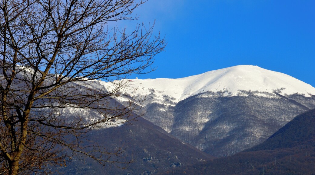 Guarcino, Province of Frosinone, Italy