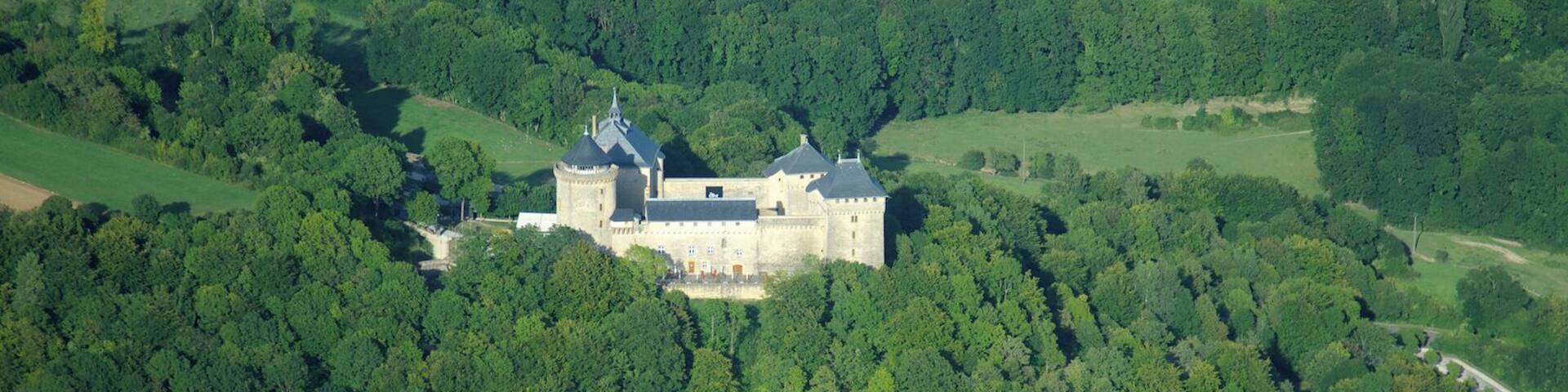 An aerial view of a castle surrounded by dense forest and a winding road.