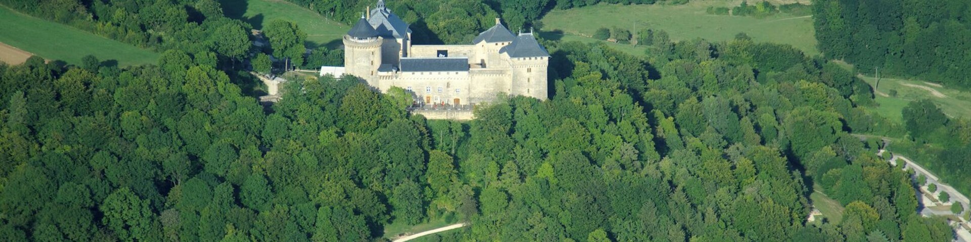 Vista aérea de un castillo rodeado de un bosque denso y un camino serpenteante.