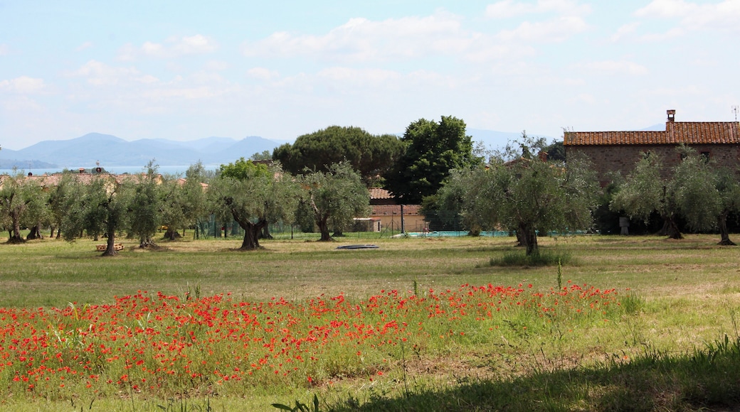 Vernazzano basso, Vernazzano, hamlet of Tuoro sul Trasimeno, Province of Perugia, Umbria, Italy