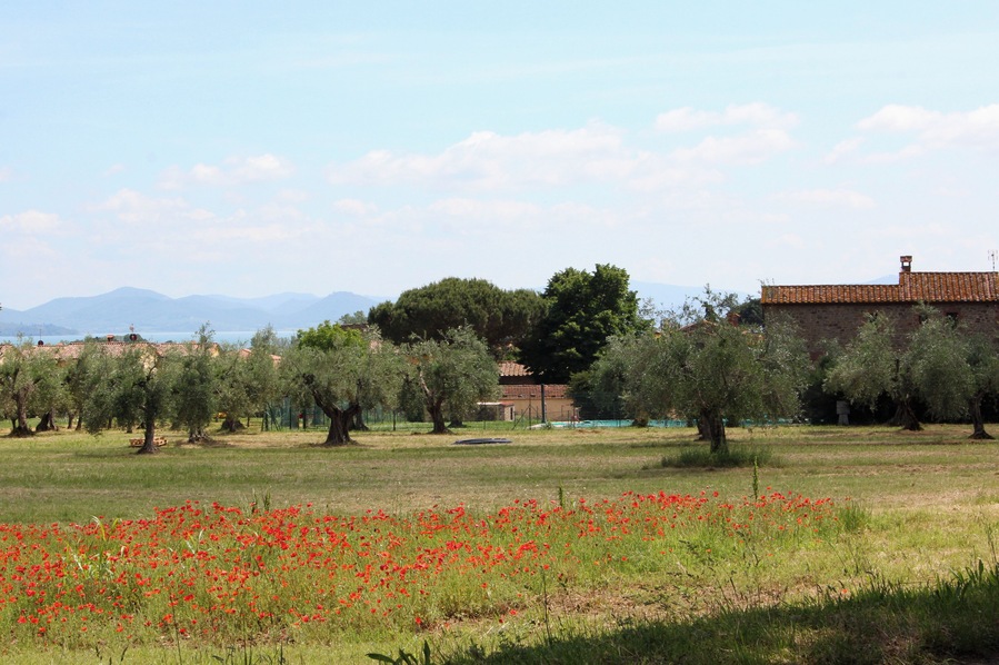Vernazzano basso, Vernazzano, hamlet of Tuoro sul Trasimeno, Province of Perugia, Umbria, Italy