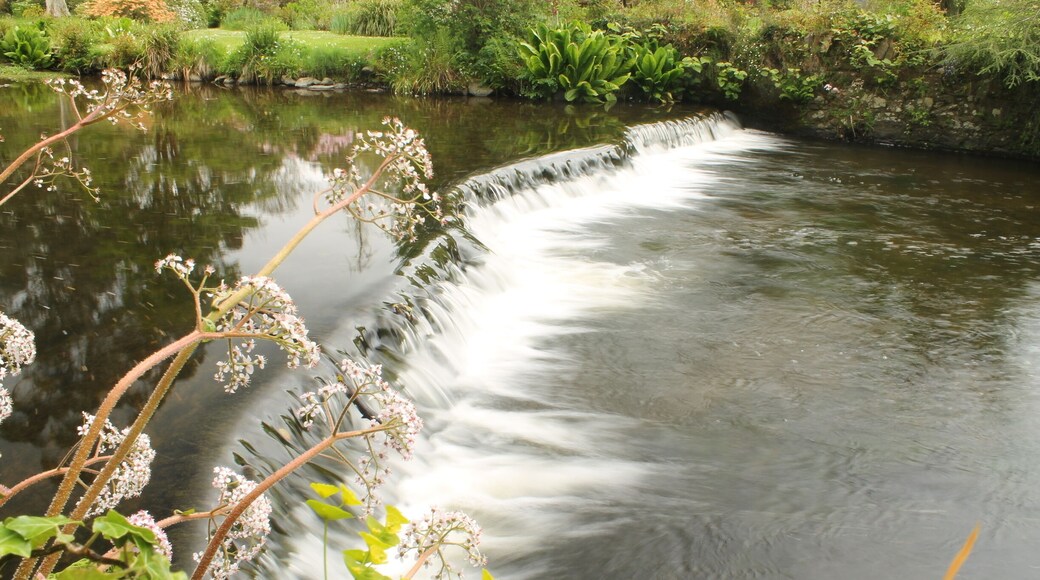 The beautiful Vartry River flowing through the wonderful Mount Usher Gardens