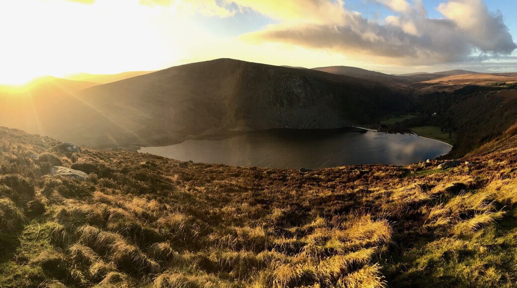Driving around Wicklow, I saw a beautiful view and just had to stop for a little walk! Spur of the moment decision that led to this beautiful view! Going with the flow!
#lifeatexpedia