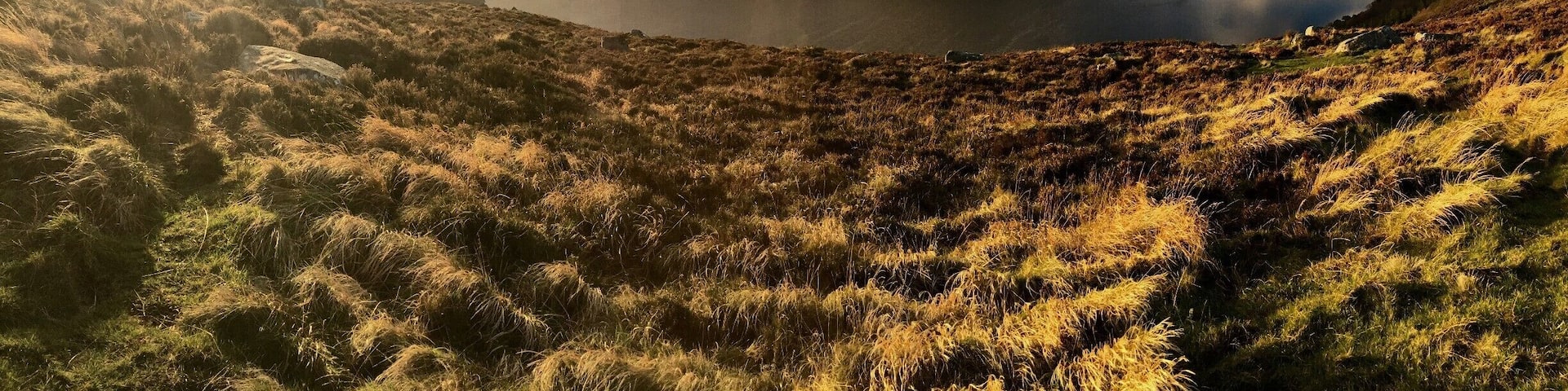 Driving around Wicklow, I saw a beautiful view and just had to stop for a little walk! Spur of the moment decision that led to this beautiful view! Going with the flow!
#lifeatexpedia